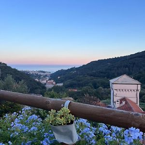 Il RosAle a Celle Ligure